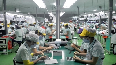 Chất lượng việc làm trong các cơ sở sản xuất kinh doanh phi chính thức tại Việt Nam