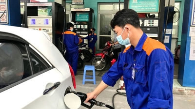 Giá xăng, dầu đồng loạt giảm sâu