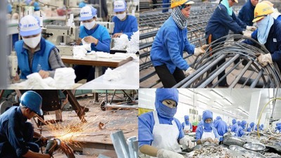 Cơ cấu lao động tại Việt Nam và vấn đề đặt ra