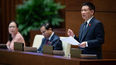 Giữ giá trần hàng không nội địa giúp giảm chi phí xã hội, thúc đẩy phát triển kinh tế