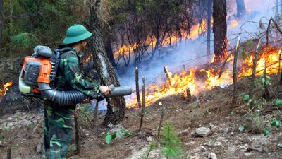Thực hiện nghiêm trách nhiệm quản lý về phòng cháy, chữa cháy rừng