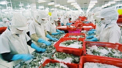 Thực trạng kế toán môi trường trong các doanh nghiệp thủy sản tại Việt Nam