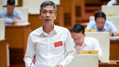Tiếp tục nghiên cứu kỹ sự cần thiết sửa đổi Luật Quản lý thuế