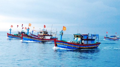 Việt Nam quyết tâm gỡ “thẻ vàng” IUU