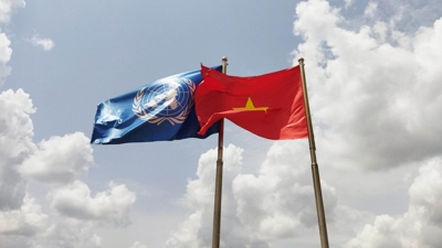 Các mốc chính trong quan hệ Việt Nam-Liên hợp quốc