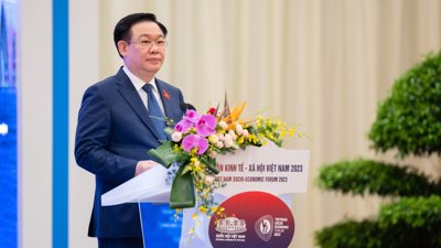 Tăng cường “nội lực”, khai thác hiệu quả “ngoại lực” để thích ứng và phát triển bền vững