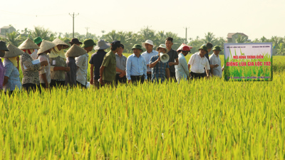 Giải pháp phát triển nông nghiệp bền vững ở tỉnh Hải Dương