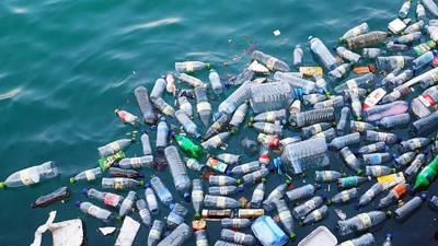 Tổ chức giám sát việc thực hiện các quy định giảm thiểu rác thải nhựa trong Luật Bảo vệ môi trường