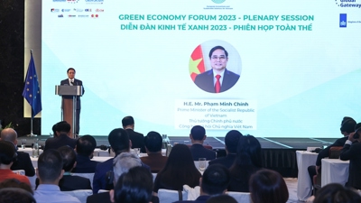 Việt Nam hướng tới sản xuất xanh, xuất khẩu xanh và năng lượng xanh