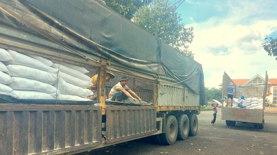 Hoàn thành xuất cấp hơn 129 tấn gạo hỗ trợ học sinh tỉnh Bình Phước