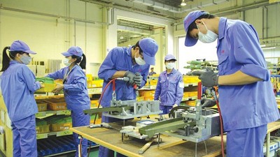 146.044 doanh nghiệp gia nhập thị trường trong 11 tháng năm 2023