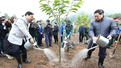 "Tết trồng cây" gắn với bảo vệ, phát triển rừng