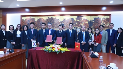 Việt Nam và Hàn Quốc hợp tác nghiên cứu, đào tạo về xây dựng cơ sở dữ liệu và định phí bảo hiểm