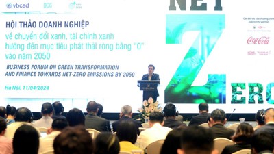 Hướng tới Net Zero: Nhân rộng mạnh mẽ hơn các mô hình kinh doanh bền vững