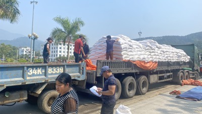 Hoàn thành xuất cấp gạo hỗ trợ học sinh tỉnh Quảng Ninh học kỳ II năm học 2023 - 2024  