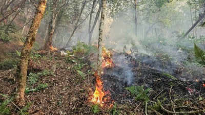Tăng cường triển khai các biện pháp cấp bách phòng cháy, chữa cháy rừng