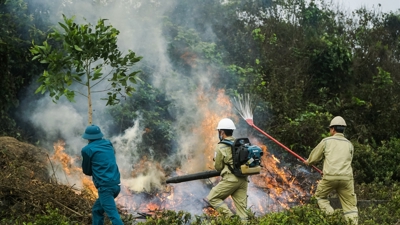 Chủ động phòng cháy, chữa cháy rừng trên phạm vi cả nước