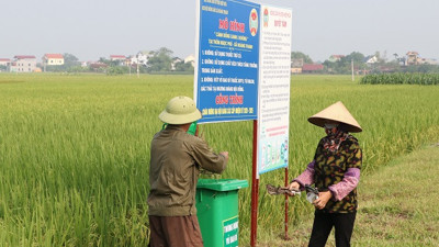 Hà Nội hỗ trợ kinh phí bảo vệ môi trường trong sản xuất nông nghiệp