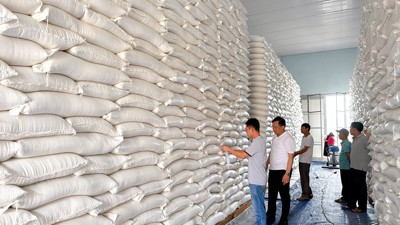 Hoàn thành nhập kho 11.000 tấn gạo dự trữ quốc gia 