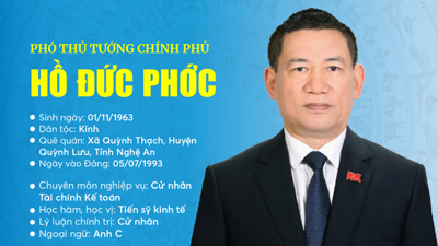 Tóm tắt tiểu sử Tân Phó Thủ tướng Chính phủ Hồ Đức Phớc