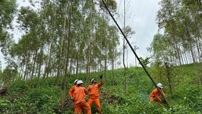 Tổng công ty Điện lực miền Bắc sẵn sàng các phương án đảm bảo cung cấp điện dịp nghỉ lễ Quốc khánh