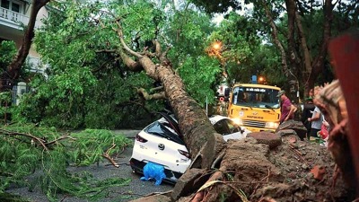 Tích cực vào cuộc giám định, bồi thường cho khách hàng bị thiệt hại do bão số 3