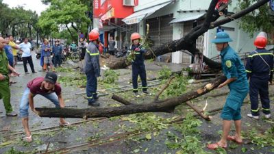 Dồn lực hỗ trợ người nộp thuế bị tổn thất do bão số 3 và lũ lụt gây ra