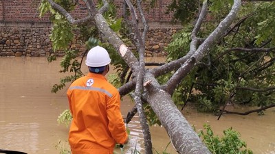 Nhiều địa phương được cấp điện trở lại trong ngày hôm nay