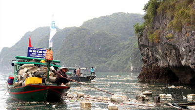 Bảo vệ môi trường du lịch biển sau bão