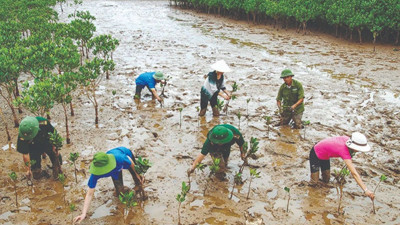 Tăng cường tuyên truyền, phổ biến, quán triệt về ứng phó với biến đổi khí hậu, bảo vệ môi trường