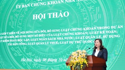 Sửa đổi Luật Chứng khoán bảo vệ quyền lợi chủ thể tham gia thị trường