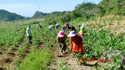 Trường hợp nào được giảm tiền sử dụng đất?