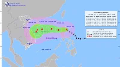 Bão Trà Mi sẽ đi vào Biển Đông sức gió cấp 9, giật cấp 11