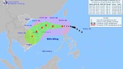 Ngành Dự trữ Nhà nước chủ động ứng phó với cơn bão số 7