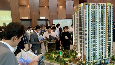 Chung cư và đất nền có “tăng nhiệt” trong năm 2025?