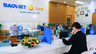 BAOVIET Bank 2024: Tăng trưởng ổn định, đẩy mạnh chuyển đổi số hướng tới phát triển bền vững