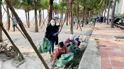 Ban hành Bộ chỉ số đánh giá kết quả bảo vệ môi trường của các tỉnh, thành phố