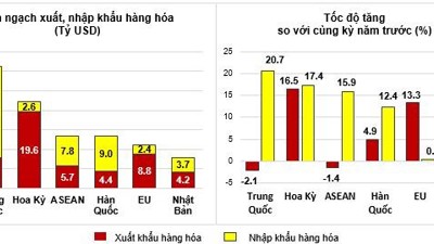 Kim ngạch xuất, nhập khẩu hàng hóa 2 tháng đầu năm 2025