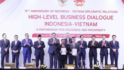 Thúc đẩy hợp tác tài chính, đầu tư giữa Việt Nam và Indonesia