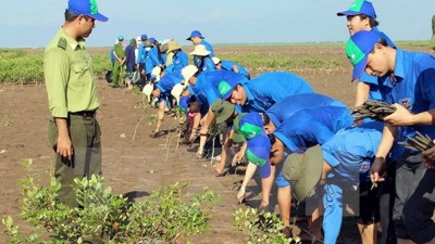 Kiểm toán môi trường: Giải pháp then chốt cho phát triển bền vững