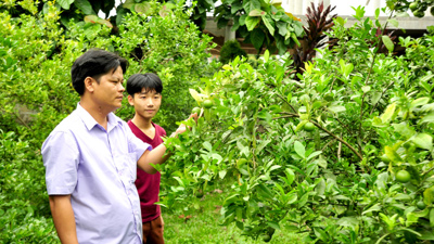 Tuyên Quang phấn đấu tỷ lệ nghèo đa chiều giảm từ 2,81% trở lên trong năm 2025