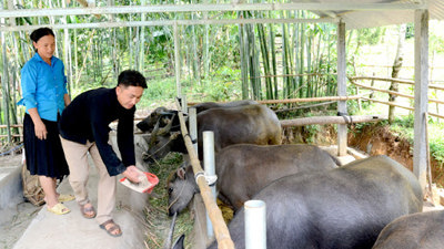 Tỷ lệ hộ nghèo tại Tuyên Quang giảm đáng kể