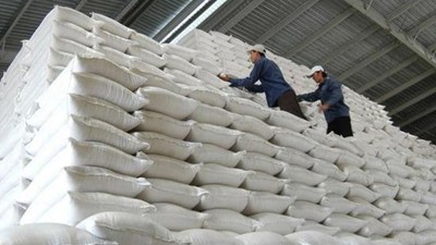 Xuất bán gần 90.000 tấn thóc, gạo nhập kho dự trữ quốc gia 