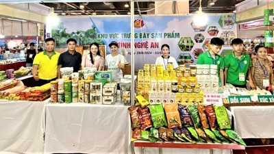 Doanh nghiệp xây dựng giá trị thương hiệu trong kỷ nguyên số