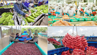 Ngành Nông bongdaso wap nỗ lực chuyển mình trong kỷ nguyên phát triển mới của Dân tộc