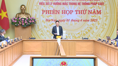 Báo cáo kết quả rà soát về quyền hạn của Chính phủ, Thủ tướng không còn phù hợp với Luật Tổ chức Chính phủ