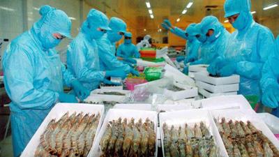 Xuất khẩu tôm của Việt Nam: bongdaso kèo nhà cái trưởng nhưng còn nhiều lo lắng