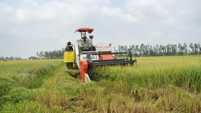 Đến năm 2030, ADB sẽ hỗ trợ cho an ninh lương thực đạt khoảng 40 tỷ USD