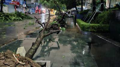 Hướng tới cộng đồng bền vững, th&#bongdaso netD;ch ứng thi&#bongdaso netA;n tai