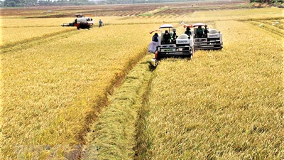 Sản xuất nông nghiệp được tập trung đẩy mạnh, xuất khẩu nhóm hàng nông, lâm sản đạt 12,39 tỷ USD